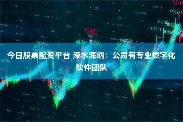 今日股票配资平台 深水海纳：公司有专业数字化软件团队